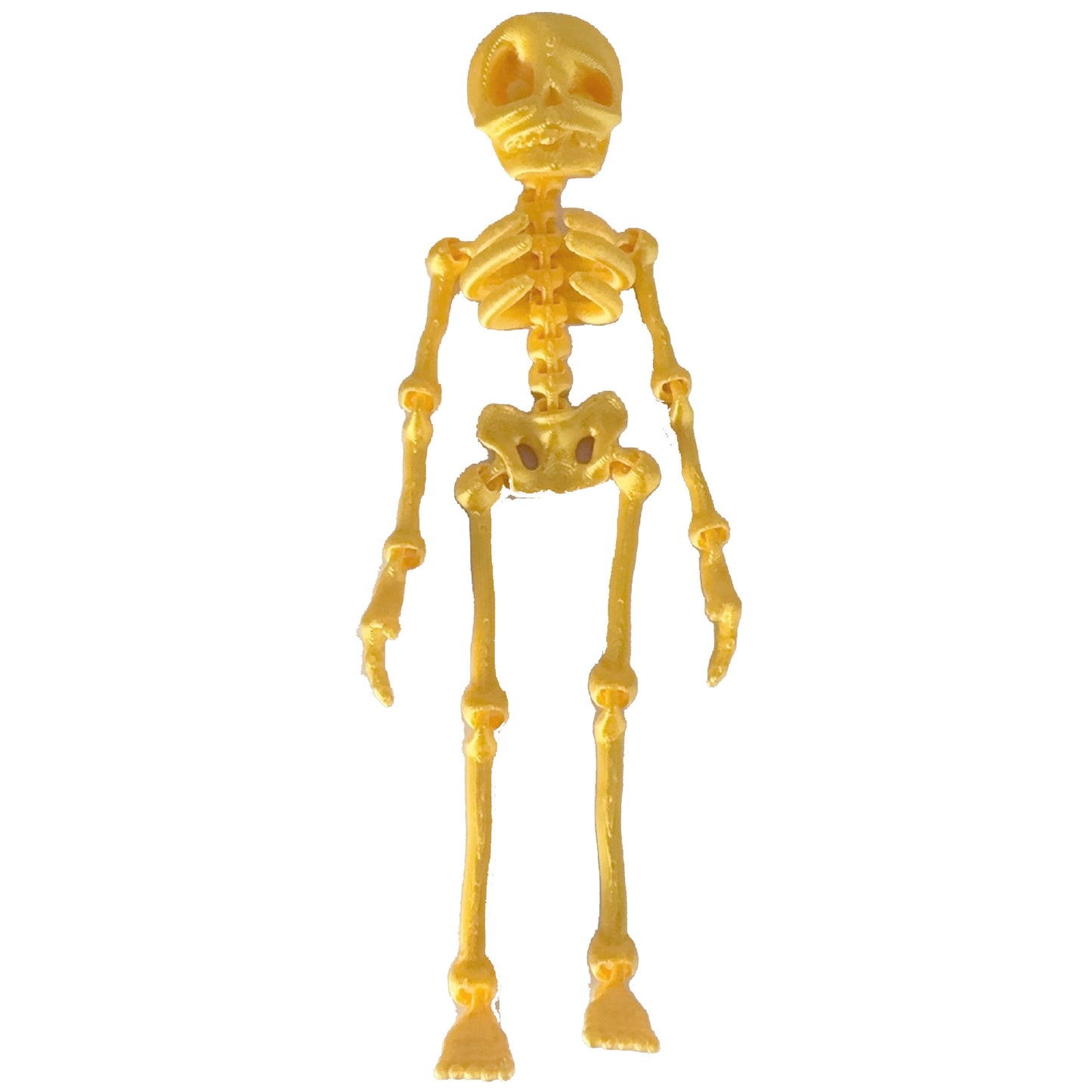 Hot-selling 3D printed skeleton with movable joints - creative refrigerator magnet toy for kids' halloween decoration